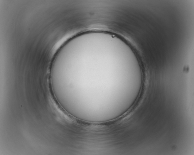 X0000111581325200907161146