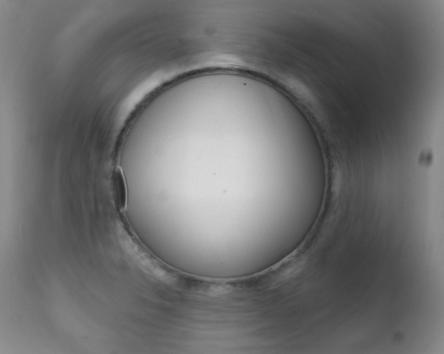 X0000111581326200907161146