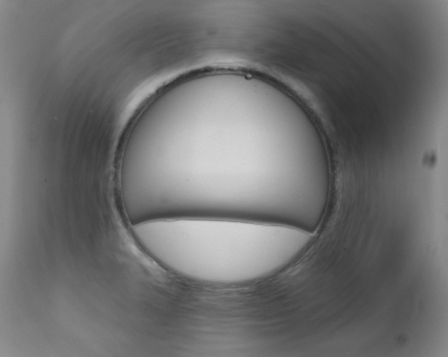 X0000111581327200907161146