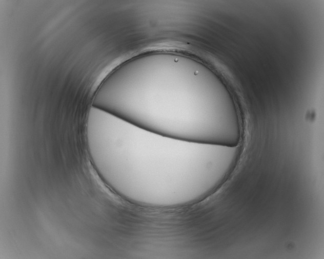X0000111581329200907161146