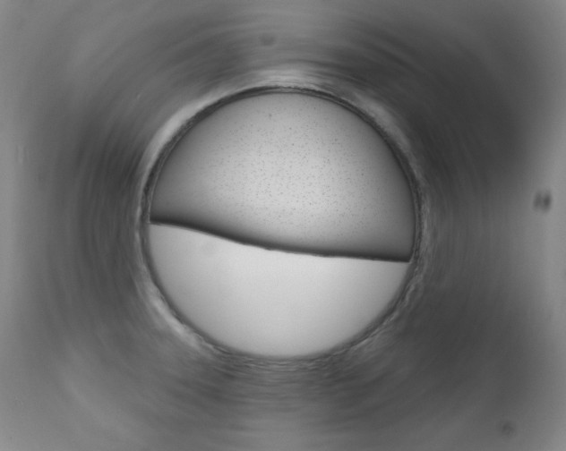 X0000111581331200907161146
