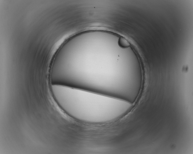 X0000111581333200907161146