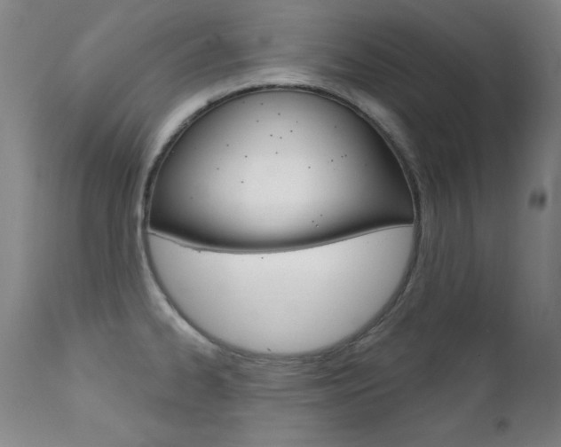 X0000111581334200907161146
