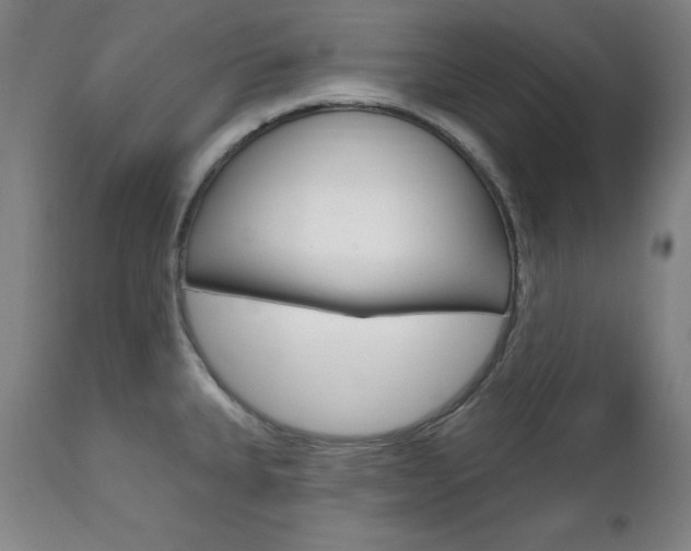 X0000111581335200907161146