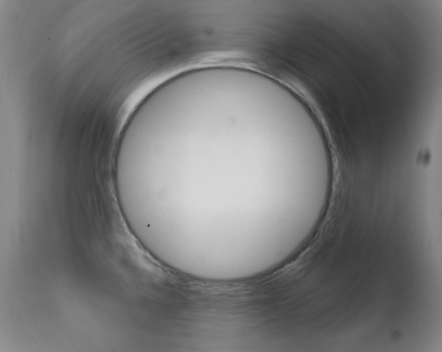X0000111581336200907161146