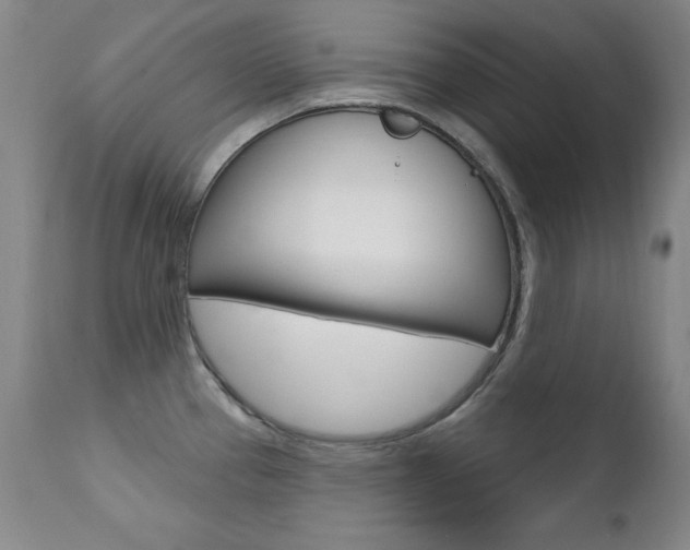 X0000111581337200907161146