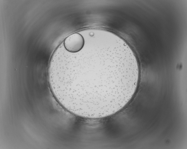 X0000111581338200907161146