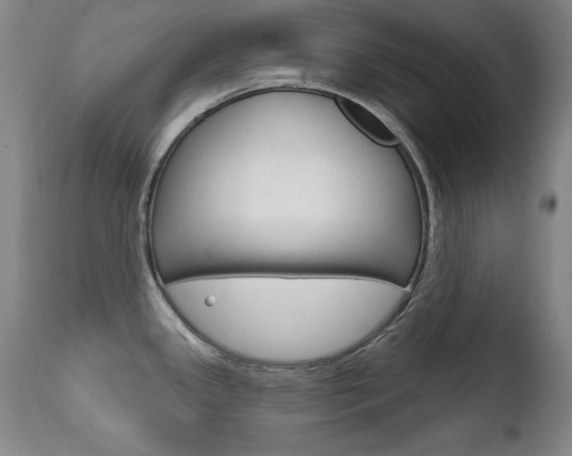 X0000111581341200907161146