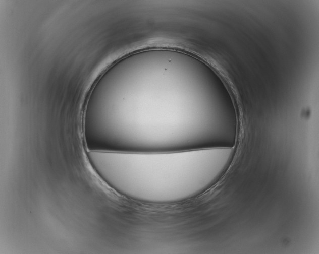 X0000111581342200907161146