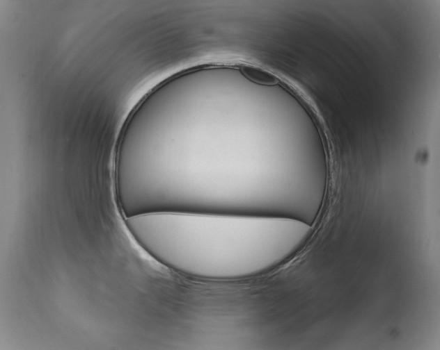 X0000111581343200907161146