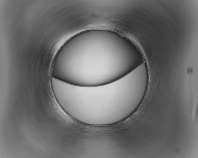 X0000111581344200907161146
