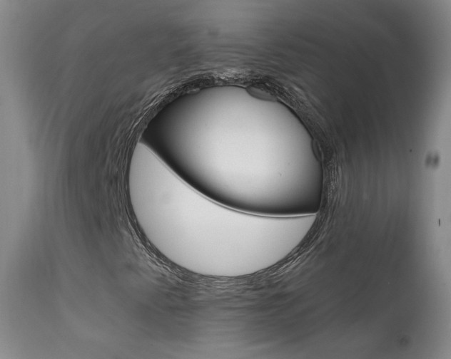 X0000111581345200907161146