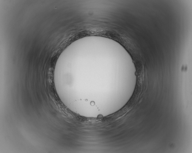 X0000111581346200907161145