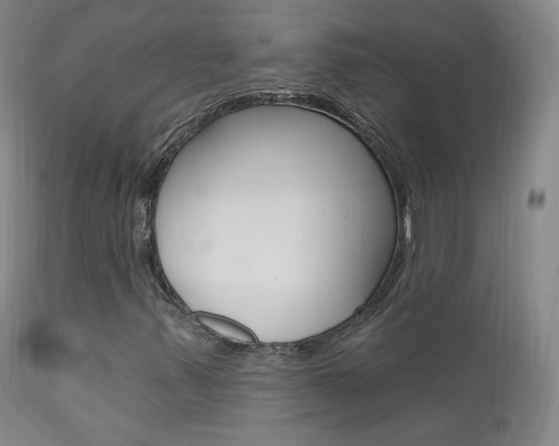 X0000111581347200907161145