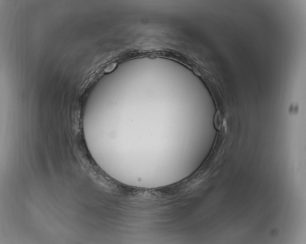 X0000111581348200907161145