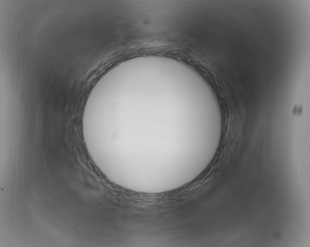 X0000111581349200907161145