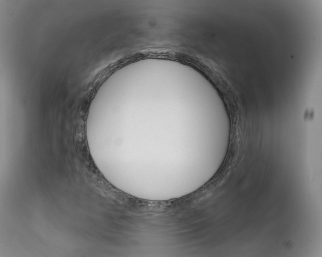 X0000111581350200907161145