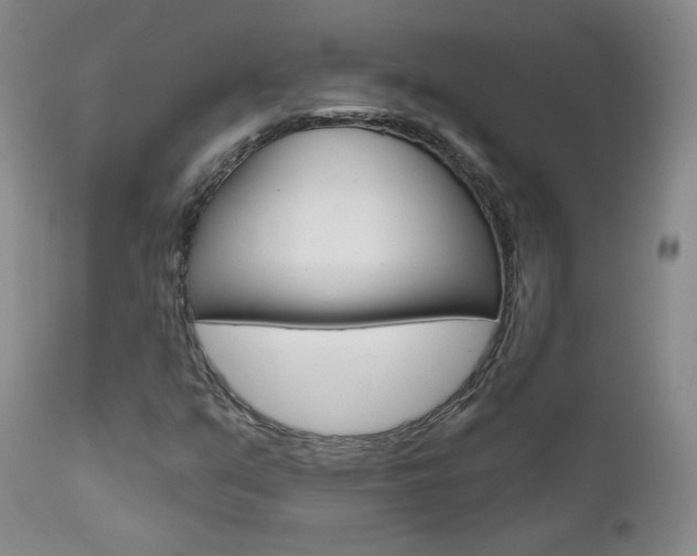 X0000111581351200907161145