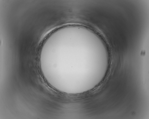 X0000111581352200907161145