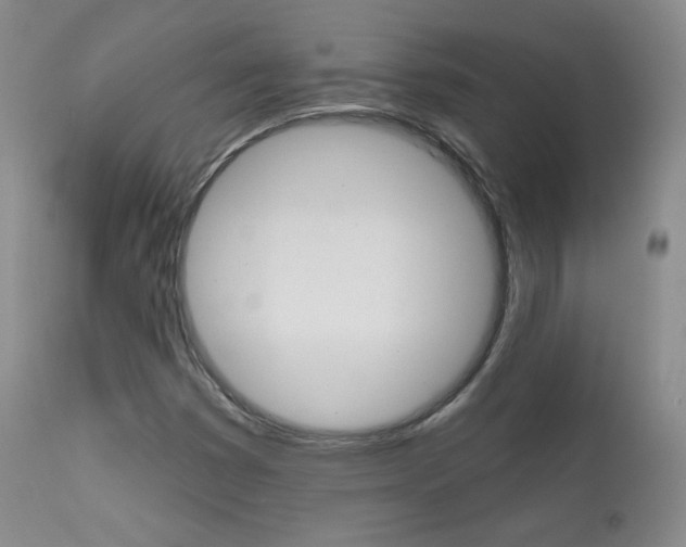 X0000111581353200907161145