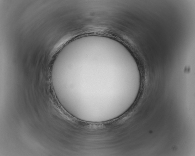 X0000111581354200907161145