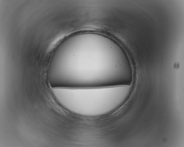 X0000111581355200907161145