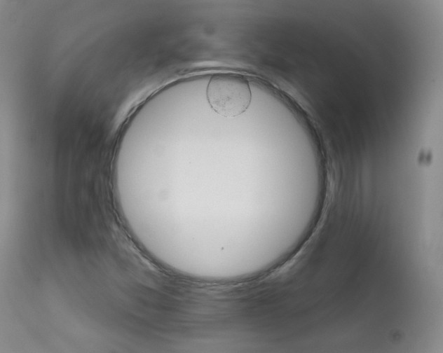 X0000111581357200907161145
