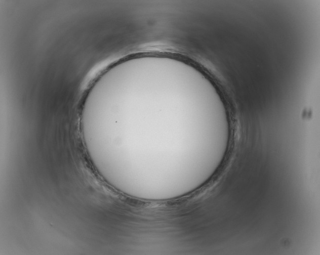 X0000111581358200907161145