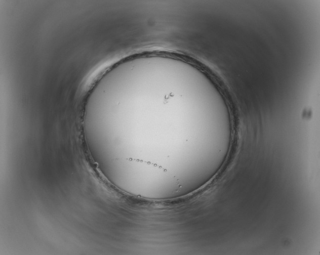 X0000111581359200907161145