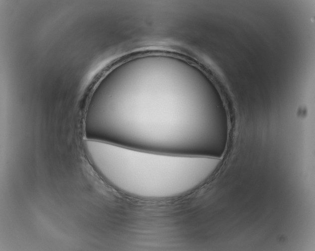 X0000111581360200907161145