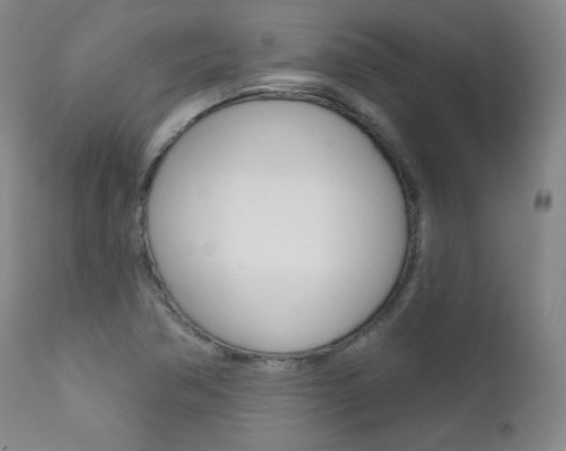 X0000111581362200907161145