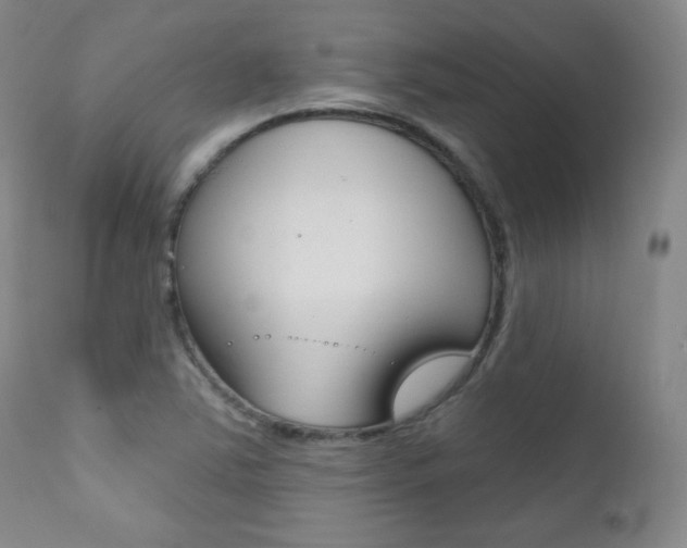 X0000111581363200907161145