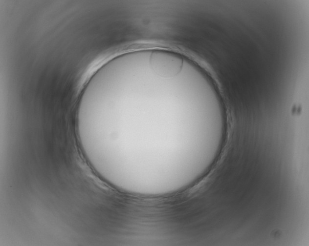 X0000111581365200907161145