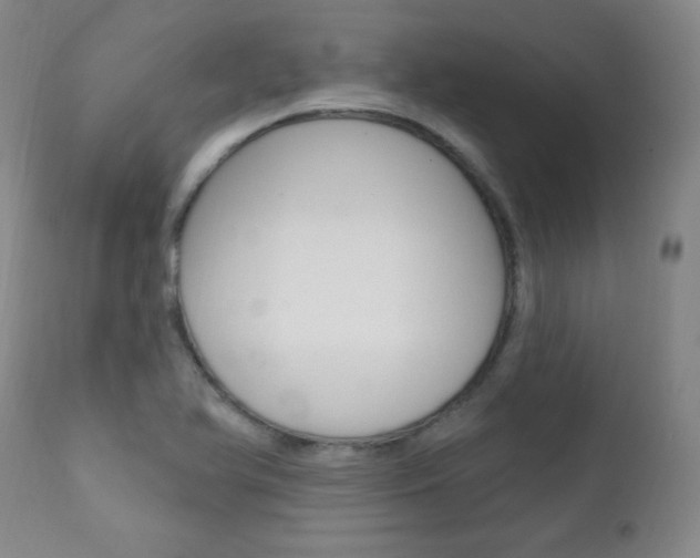 X0000111581366200907161145