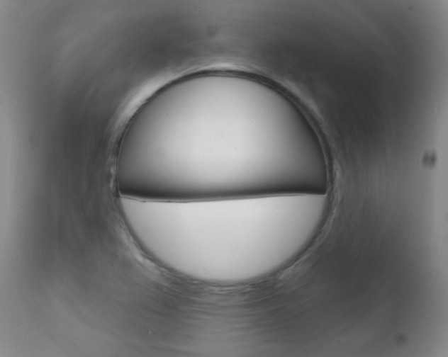 X0000111581367200907161145