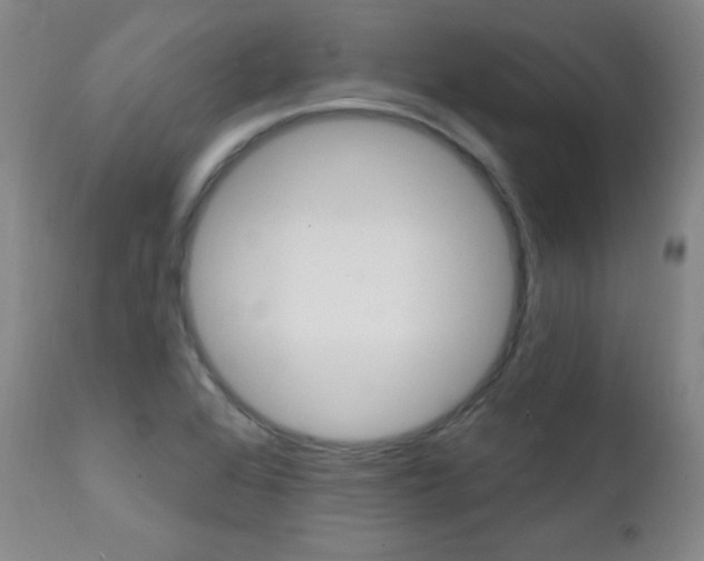 X0000111581368200907161145