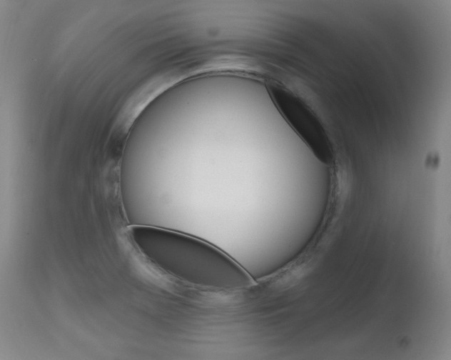 X0000111581369200907161145