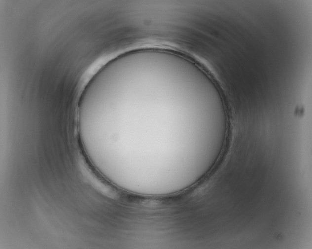X0000111581371200907161145