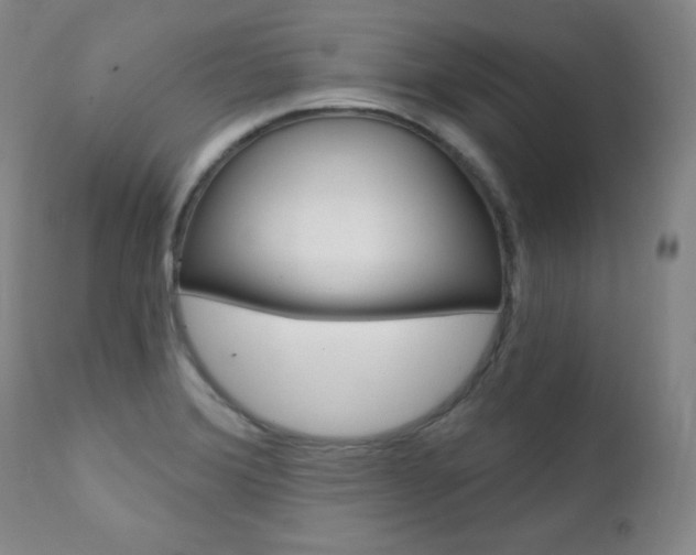 X0000111581372200907161145