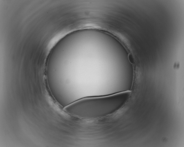 X0000111581373200907161145