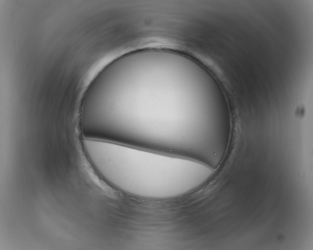 X0000111581375200907161145