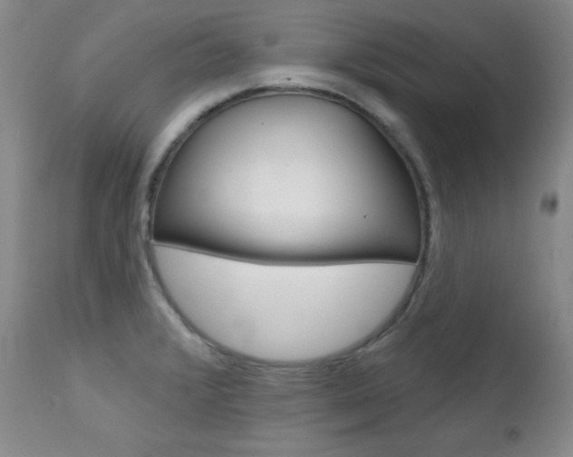 X0000111581376200907161145