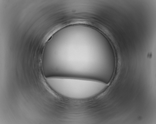 X0000111581377200907161145
