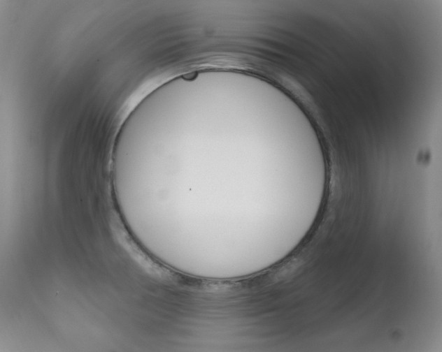 X0000111581378200907161145