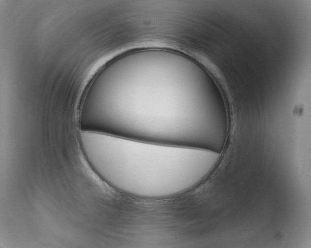 X0000111581380200907161145