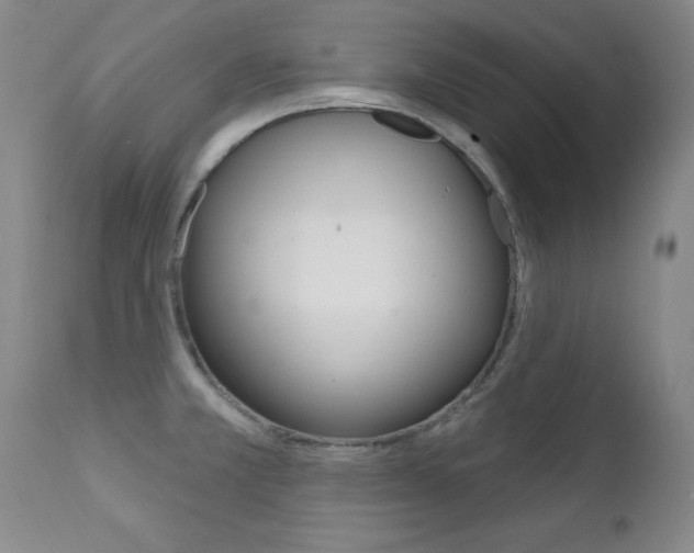 X0000111581381200907161145