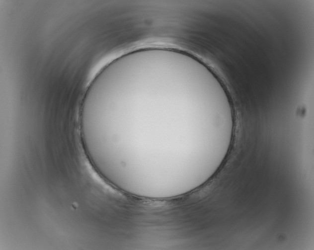 X0000111581382200907161145
