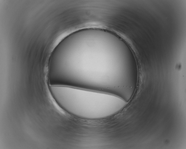 X0000111581383200907161145