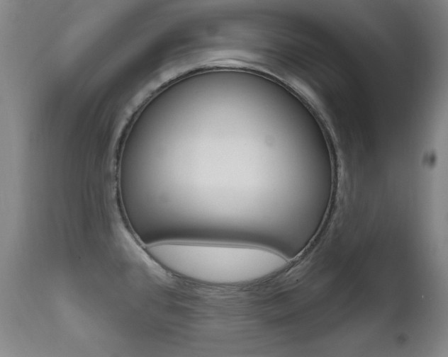 X0000111581384200907161145