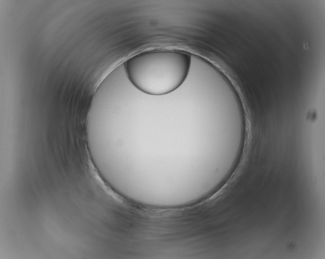 X0000111581385200907161145